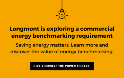 Building Energy Benchmarking – an LPC Panel Discussion